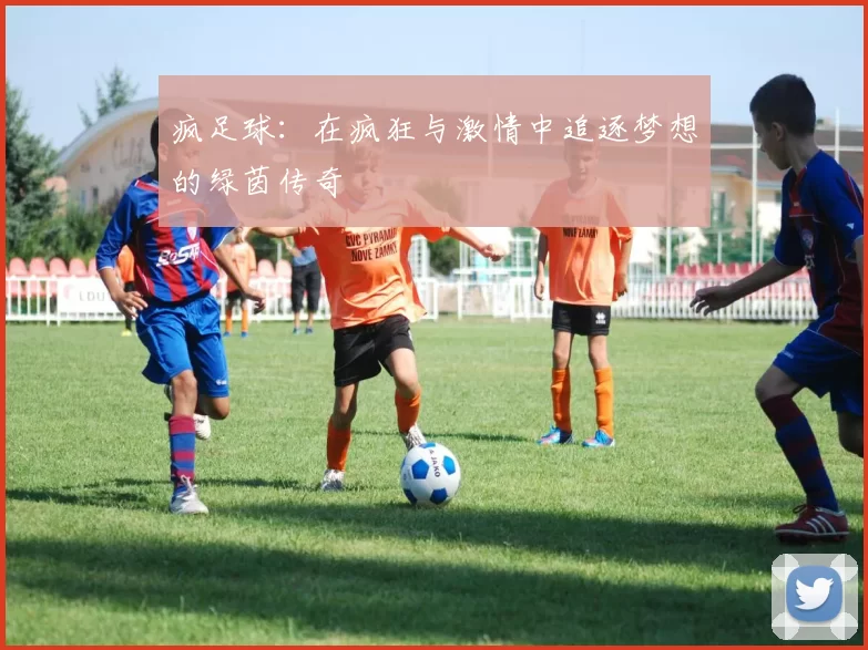 疯足球：在疯狂与激情中追逐梦想的绿茵传奇