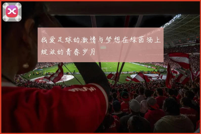 我爱足球的激情与梦想在绿茵场上绽放的青春岁月